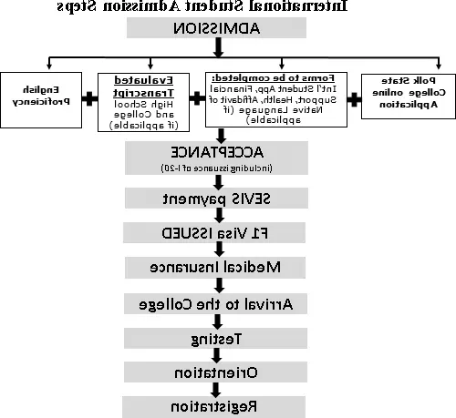 国际-student-admission-flow-chart